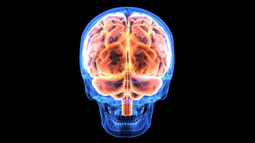 Image of right and left hemispheres of the brain